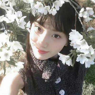 华利斯与爱德华 海报