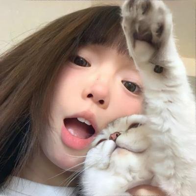 猫女：猎捕 海报